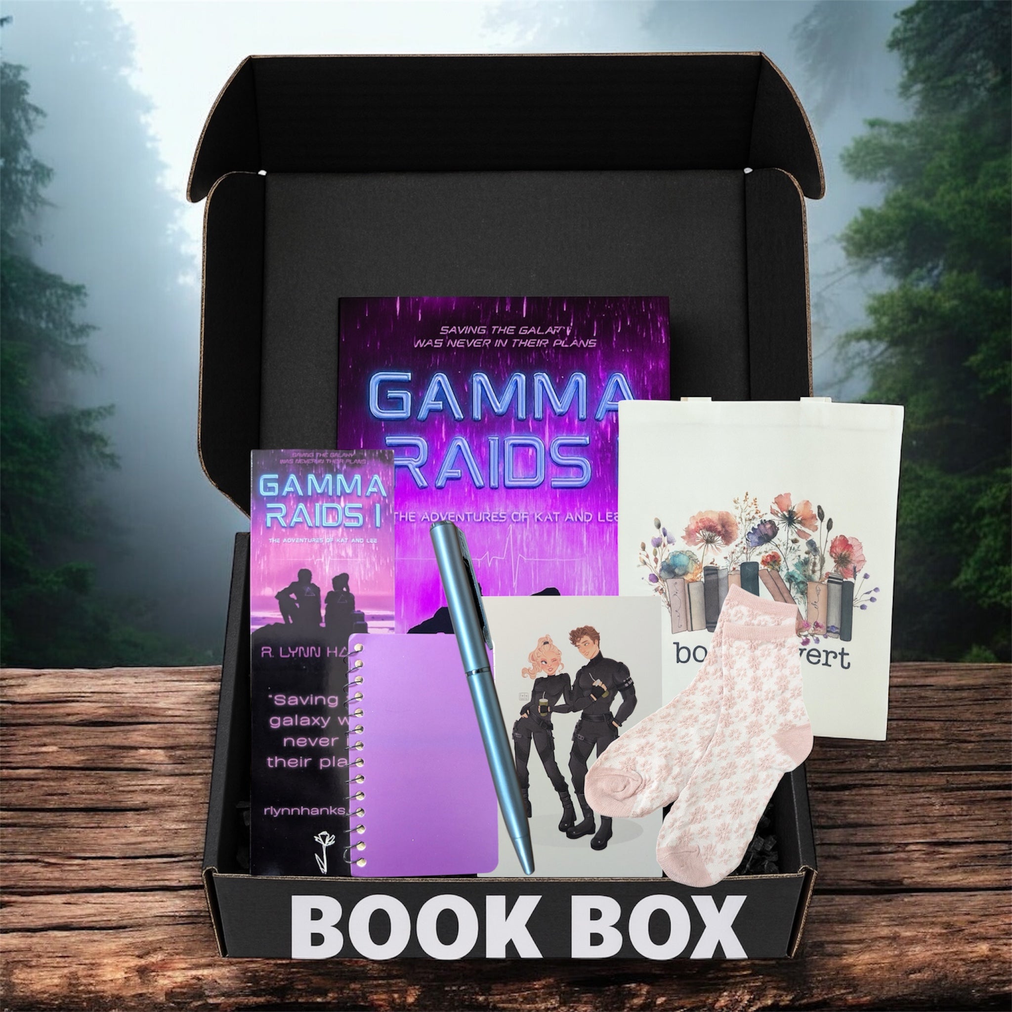 Gamma Raids I Book Box