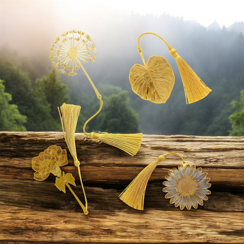 The Voyage of Clara Bowman Book Box