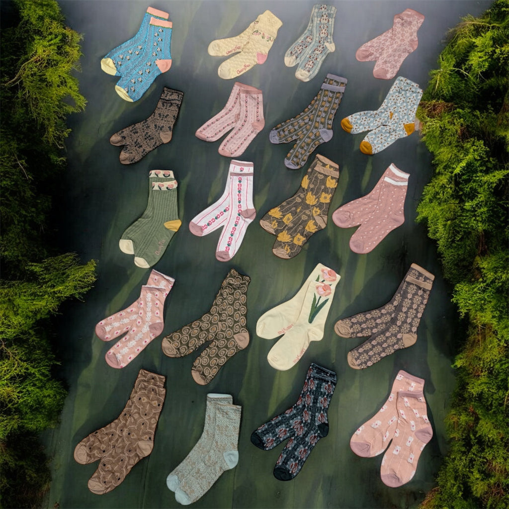 Gamma Raids I Book Box