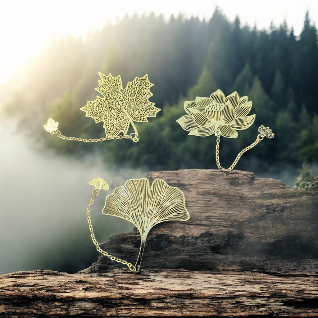 The Crystal's Chosen Book Box